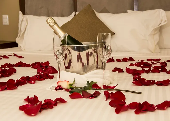 Apartahotel Lerma 205